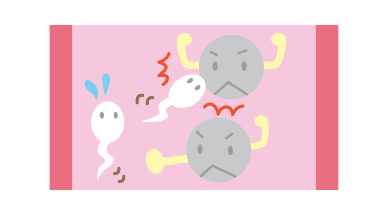 精子也會遭受白血球的攻擊